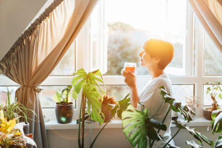 The Health Benefits of Houseplants Image